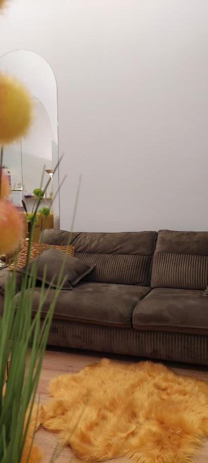 Apartament M וטרה דורניי מראה חיצוני תמונה