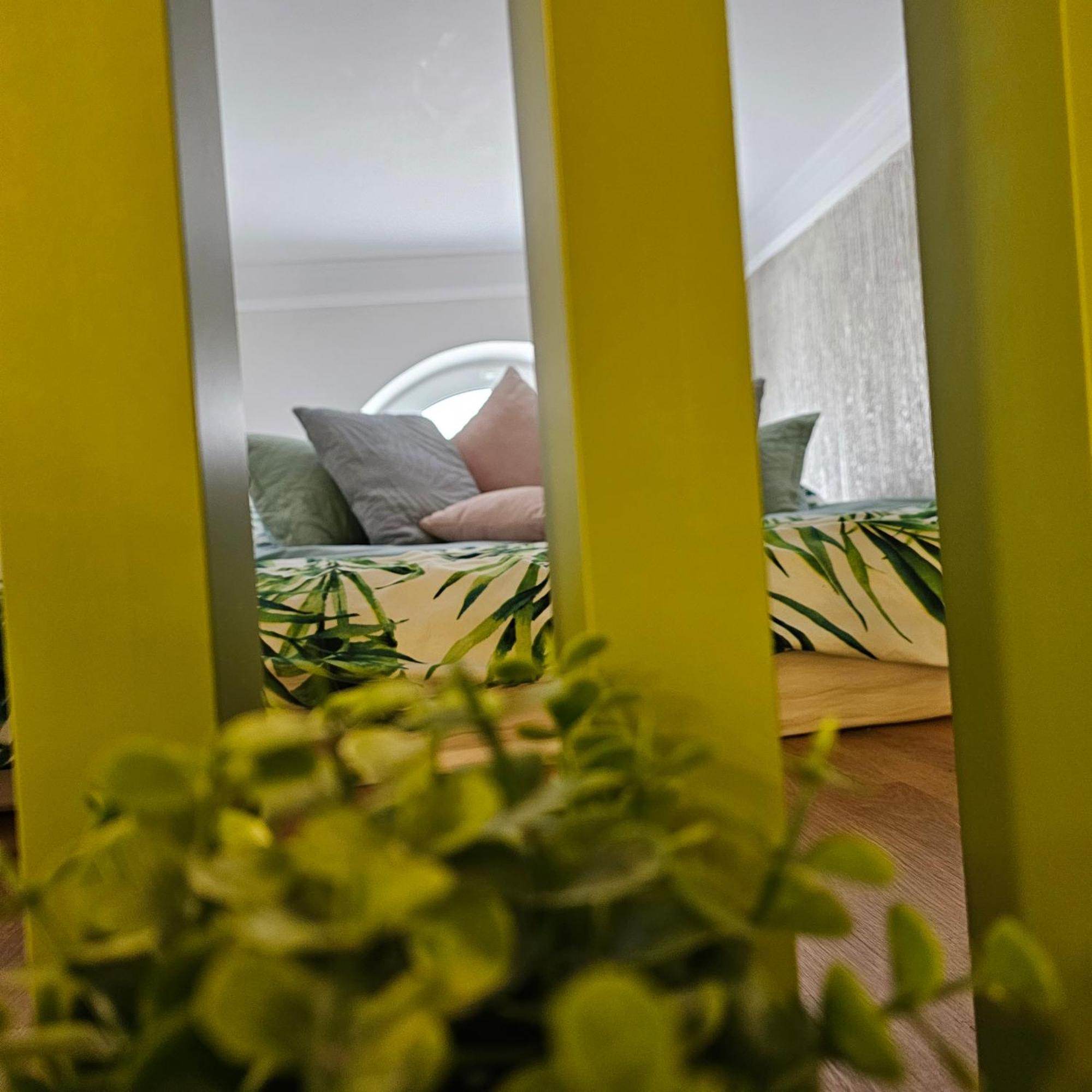 Apartament M וטרה דורניי מראה חיצוני תמונה